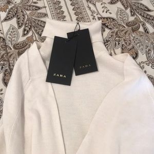 Zara turtleneck sweater